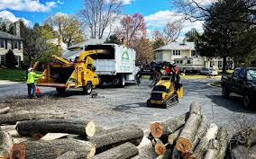 Leaf Removal in Sand Ridge, NY